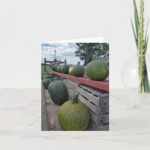 Carte Citrouilles