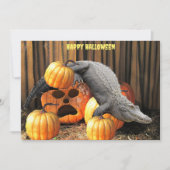 Carte Citrouilles d'Halloween et Gator (Devant)