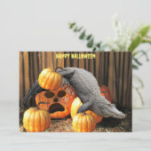 Carte Citrouilles d'Halloween et Gator (Debout devant)