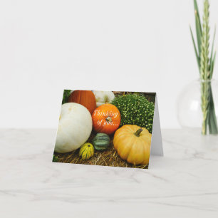 Carte Citrouilles et Gourdes pour te dire que tu e