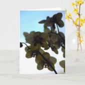 Carte Clair de Fleur (Fleur jaune)