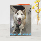 Carte Classe Husky (Fleur jaune)