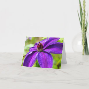 Carte Clematis Bonjour !