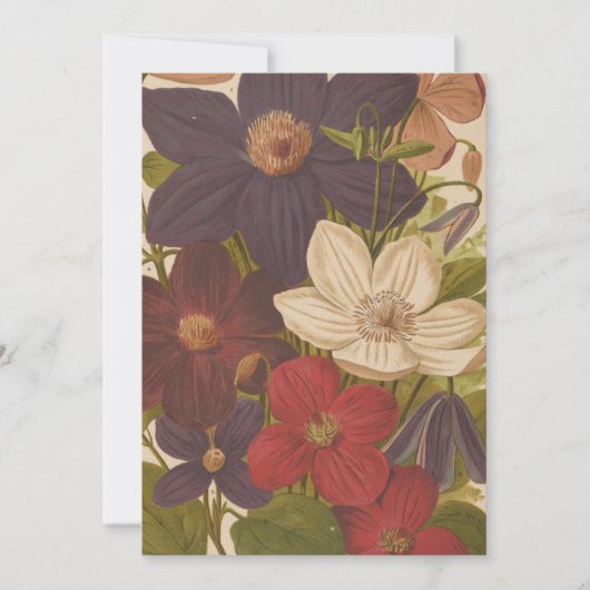 Carte Clematis | George Nicholson (Devant)