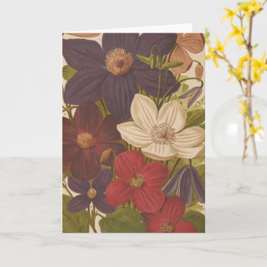 Carte Clematis | George Nicholson (Fleur jaune)