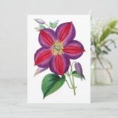 Carte Clematis Magnifica (Debout devant)