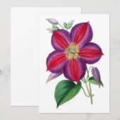 Carte Clematis Magnifica (Devant / Derrière)