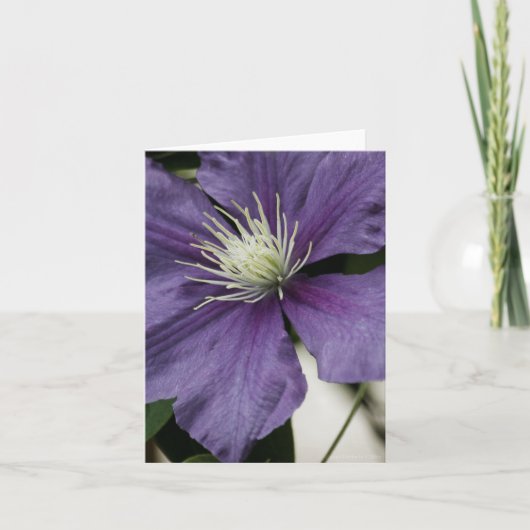 Carte Clematis Violet (Devant)