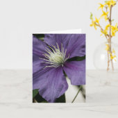 Carte Clematis Violet (Fleur jaune)