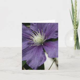 Carte Clematis Violet