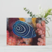 Carte Close-up de Emperor Angelfish (Debout devant)