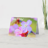 Carte Closeudo Vue Sur Les Fleurs De Cerisiers De Sakura (Devant)