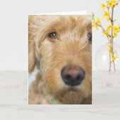 Carte Closeup de Goldendoodle (Fleur jaune)