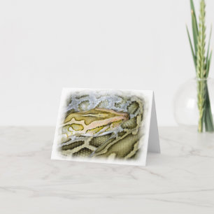 Carte Closeup de python indien