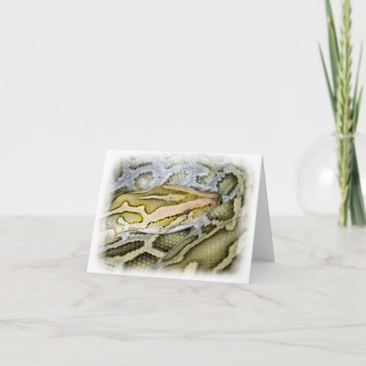 Carte Closeup de python indien (Devant)