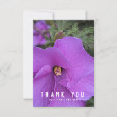 Carte Closeuse aux fleurs d'Hibiscus pourpre (Devant)