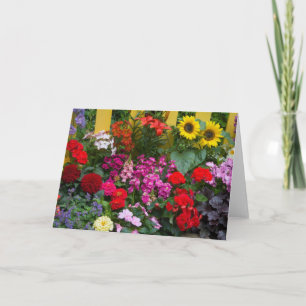 Carte Clôture blanche avec jardin de fleurs en