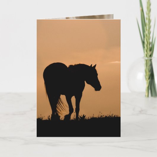 Carte Cloud Walk at Sunset Wild Horse Greeting Card (Devant)
