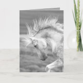 Carte Cloud's Pride Wild Horse Greeting Card (Devant)