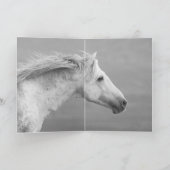 Carte Cloud's Pride Wild Horse Greeting Card (Intérieur)