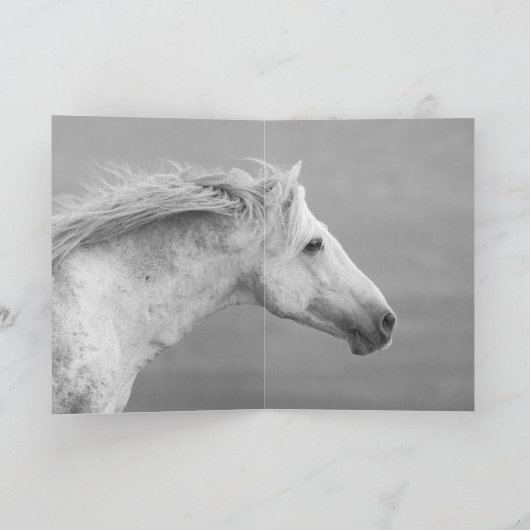 Carte Cloud's Pride Wild Horse Greeting Card (Intérieur)