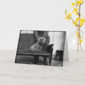 Carte Club de chat d'exposition - Mondial 493 (Fleur jaune)