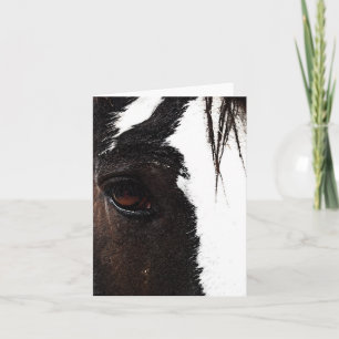 Carte Clydesdale