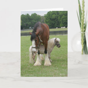 Carte Clydesdale debout au-dessus de Miniature Pony