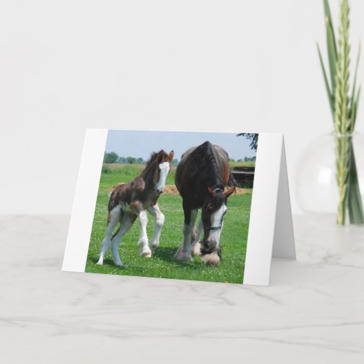 Carte clydesdale et filly (Devant)