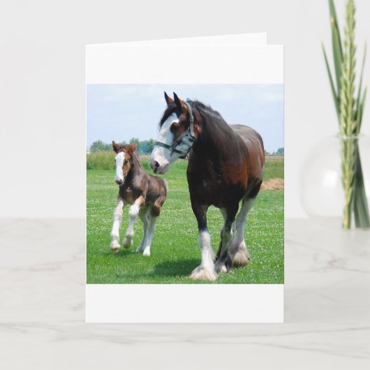 Carte Clydesdale et pouliche (Devant)