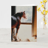 Carte Clydesdale majestueux (Fleur jaune)