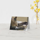 Carte (CN) - Nap de chat ou deux (Fleur jaune)