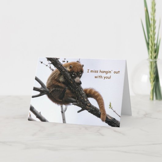 Carte : Coatimundi #5 (Devant)