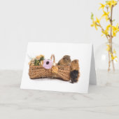 Carte cobaye dans un panier (Fleur jaune)