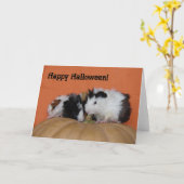 Carte Cobayes de bébé, Halloween heureux ! (Fleur jaune)