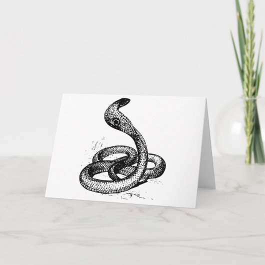 Carte Cobra (Devant)