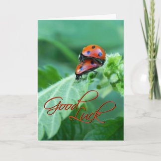 Carte coccinelle couple - Bonne chance