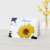 Carte Coccinelle sur la marguerite blanche (Fleur jaune)