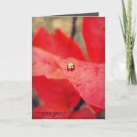Coccinelle sur Mlle You de feuille d'automne
