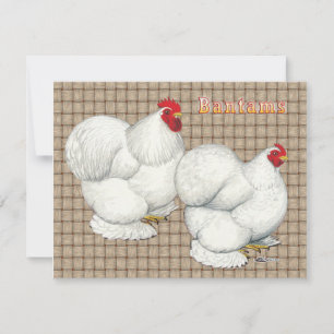 Carte Cochin : Bantams blancs