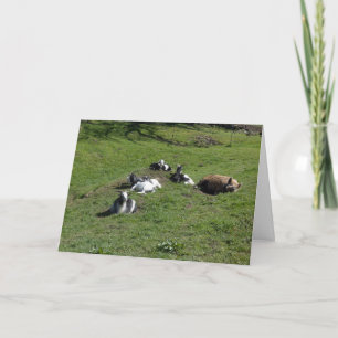 Carte Cochon avec des amis chevreaux