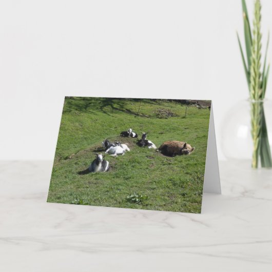 Carte Cochon avec des amis chevreaux (Devant)