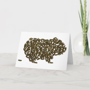 Carte Cochon de Guinée classique
