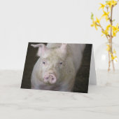 Carte Cochon rose Toutes les occasions (Fleur jaune)