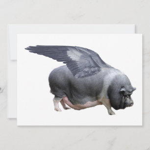 Carte cochon volant