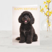 Carte Cockapoo Birthday Card Cute Dog Minimal Design (Fleur jaune)