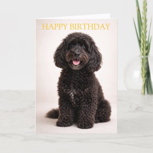 Carte Cockapoo Birthday Card Cute Dog Minimal Design (Devant)