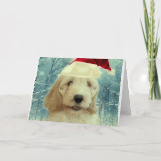 Carte Cockapoo Noël