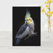 Carte Cockatiel (Fleur jaune)
