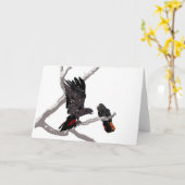 Carte Cockatoo noir à queue rousse (Fleur jaune)